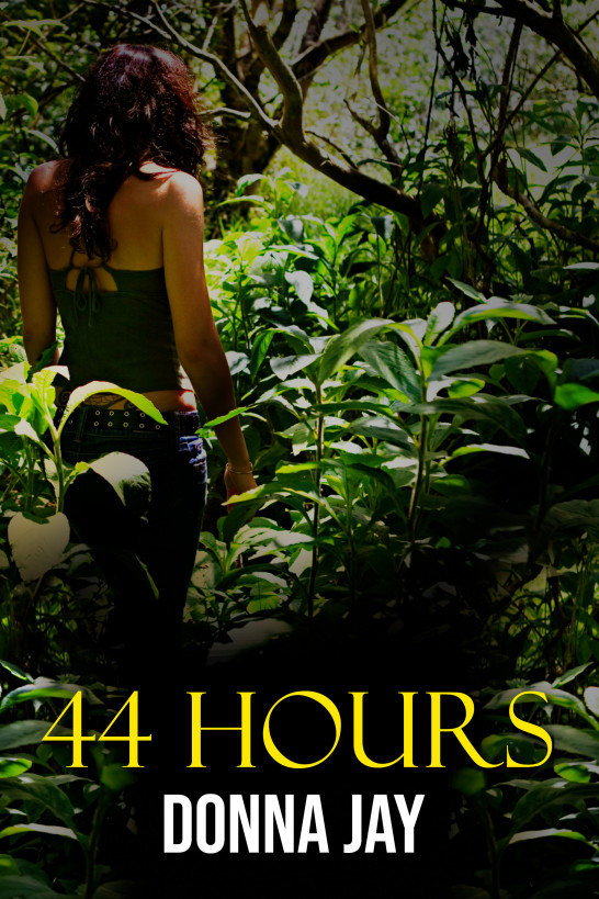 44 Hours ebook cover