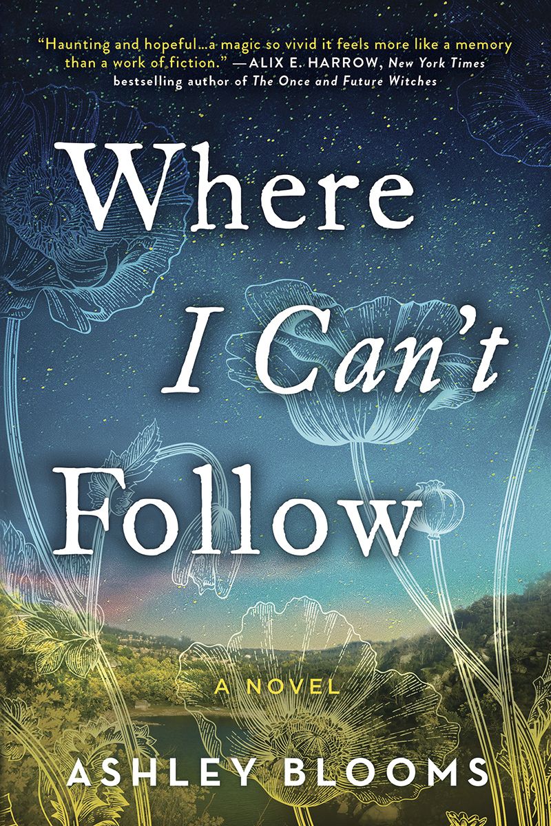 Where I Can't Follow ebook cover
