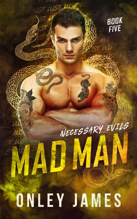 Mad Man (Necessary Evils Book 5) ebook cover