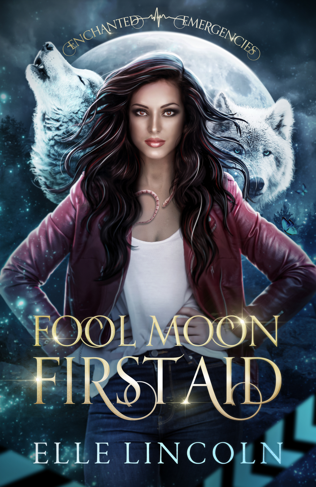 Fool Moon First Aid ebook cover