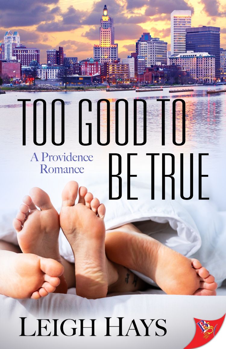 Too Good to be True ebook cover