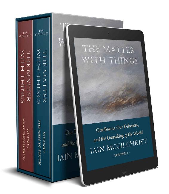 The Matter With Things: Our Brains, Our Delusions and the Unmaking of the World ebook cover