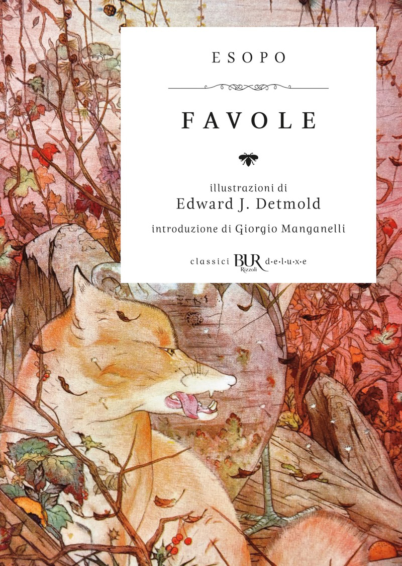 Favole (Deluxe) ebook cover