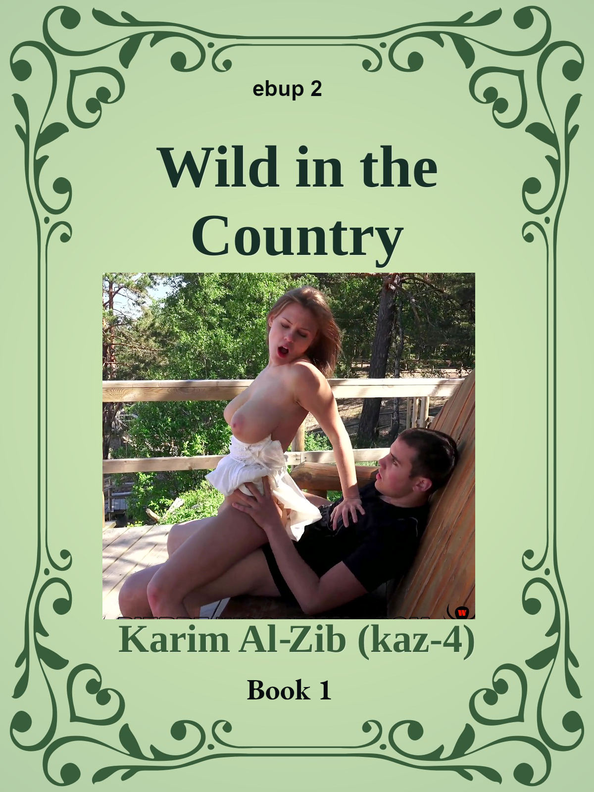 Wild in the Country ebook cover