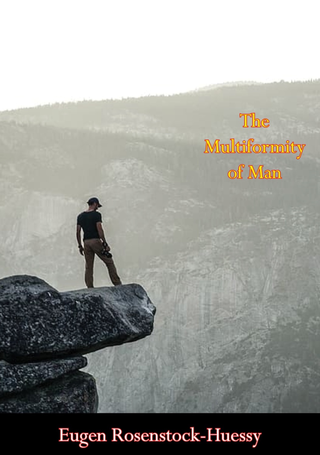 The Multiformity of Man ebook cover