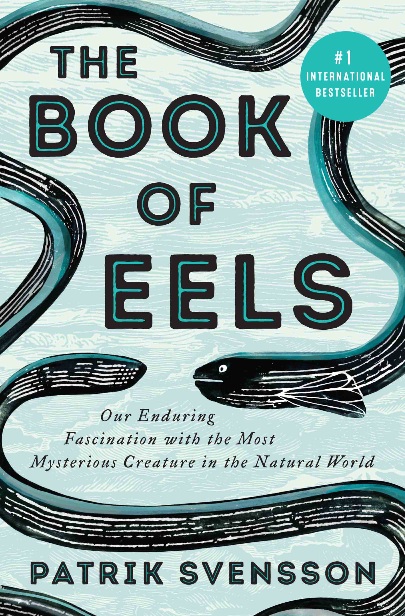 The Book of Eels ebook cover