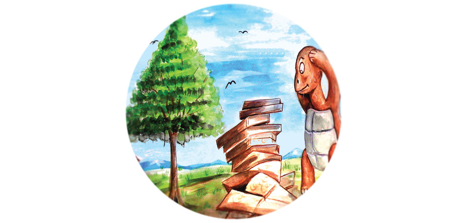 How the Tortoise Built Her House ebook cover