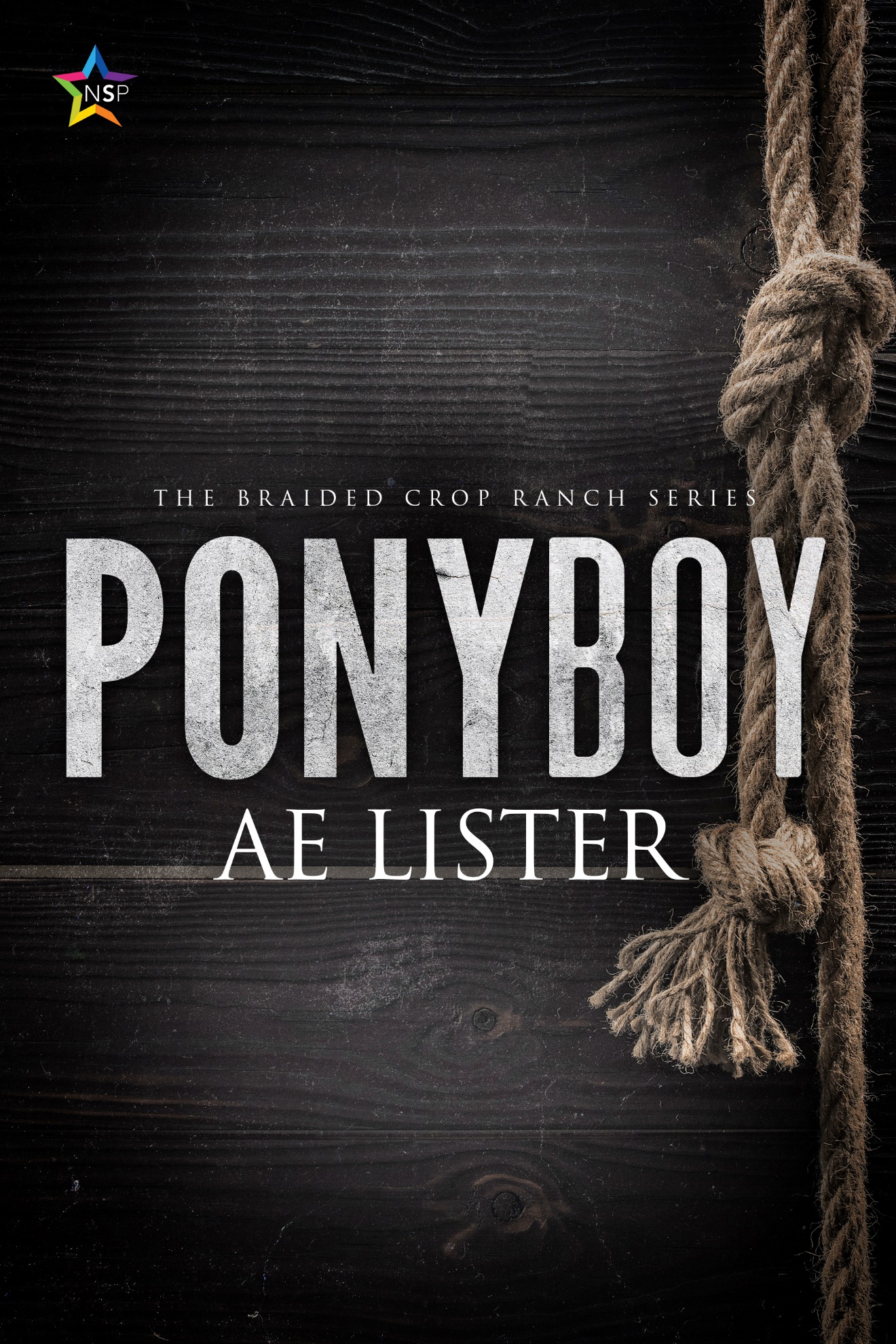Ponyboy ebook cover