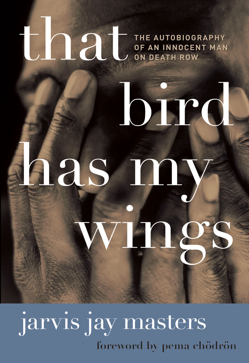 That Bird Has My Wings ebook cover