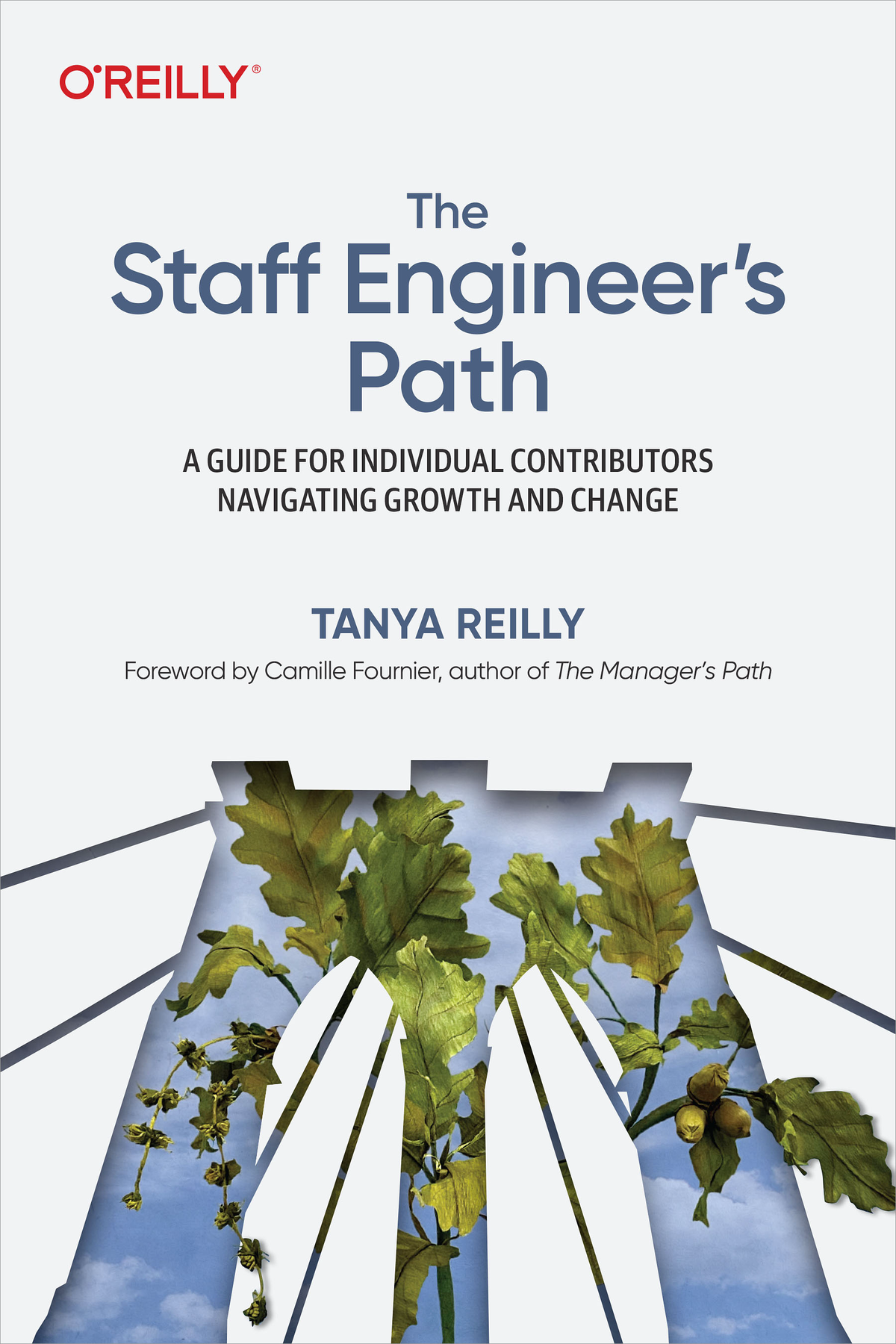 The Staff Engineer&acirc;&euro;&trade;s Path ebook cover