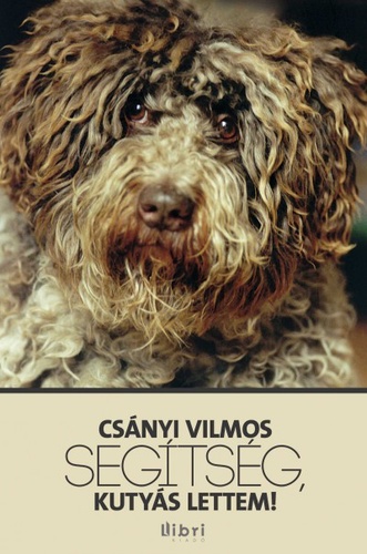 Seg&Atilde;&shy;ts&Atilde;&copy;g, kuty&Atilde;&iexcl;s lettem ebook cover