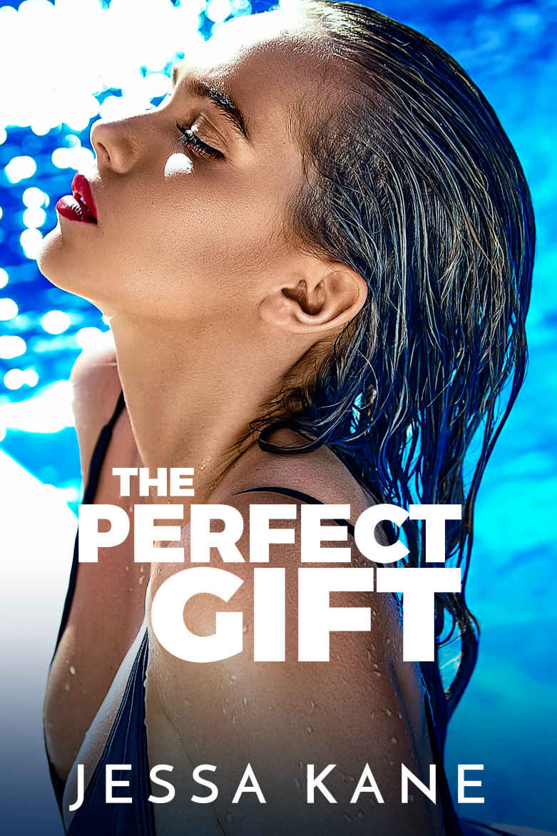 The Perfect Gift ebook cover