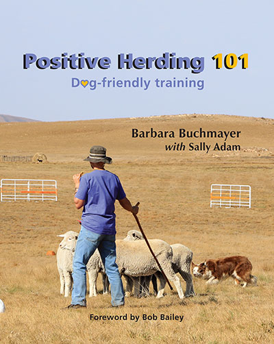 POSITIVE HERDING 101 &acirc;&euro;&ldquo; Dog-friendly training ebook cover