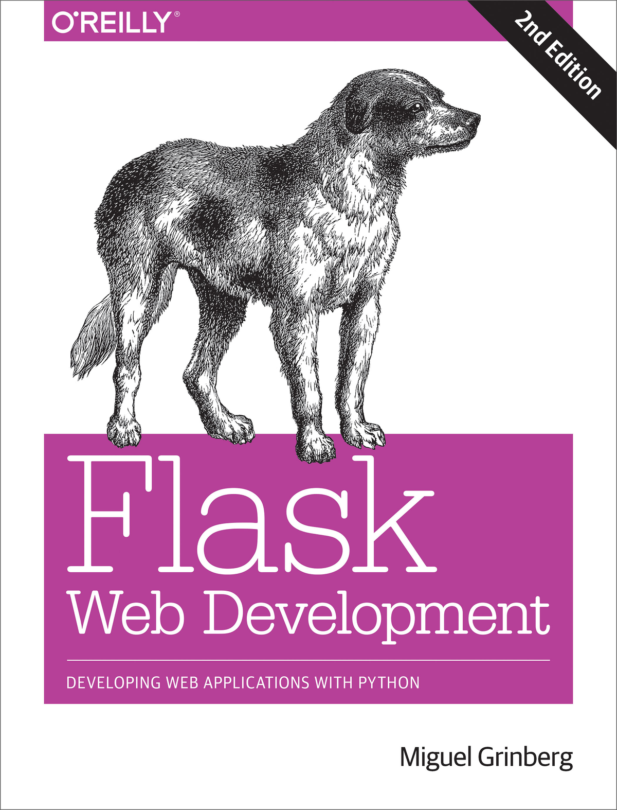 Flask Web Development ebook cover