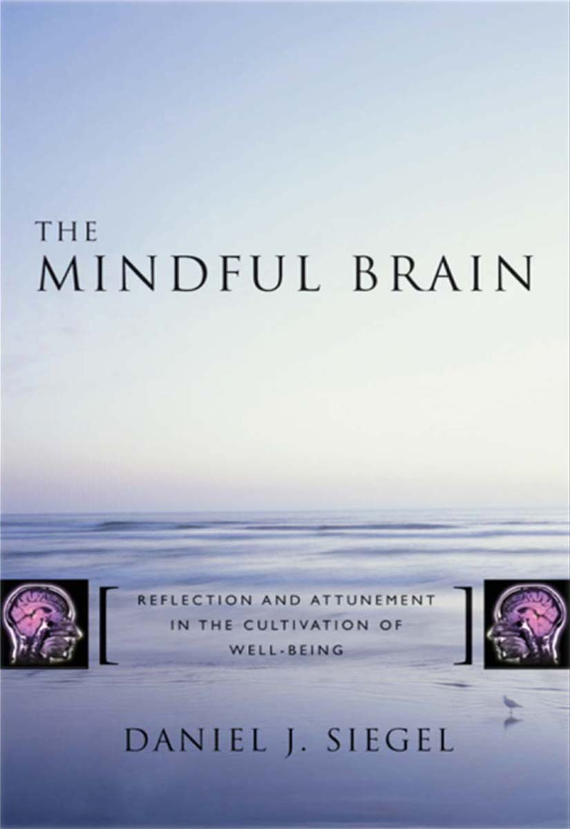 The Mindful Brain ebook cover