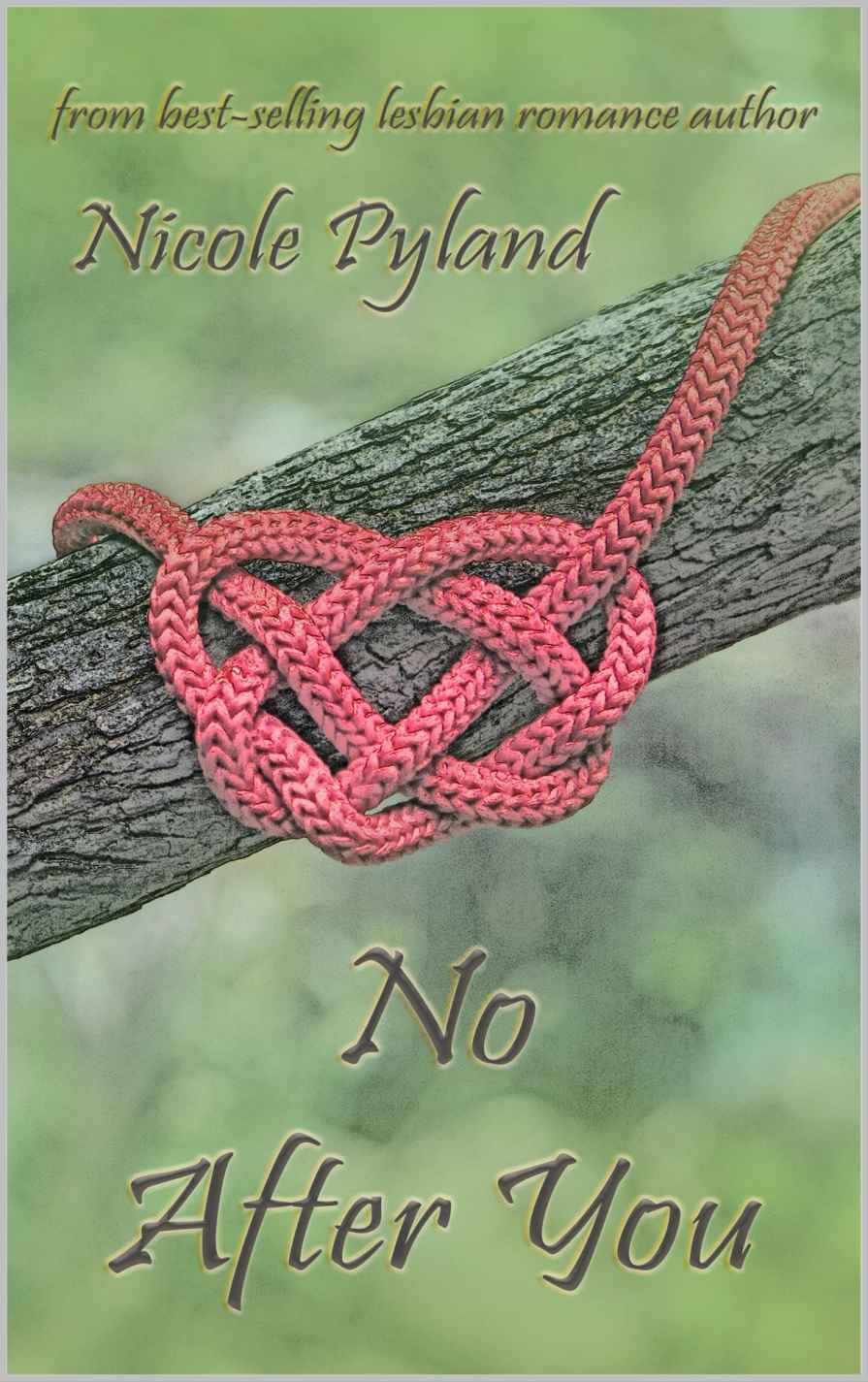 No After You (Celebrities Series Book 1) ebook cover