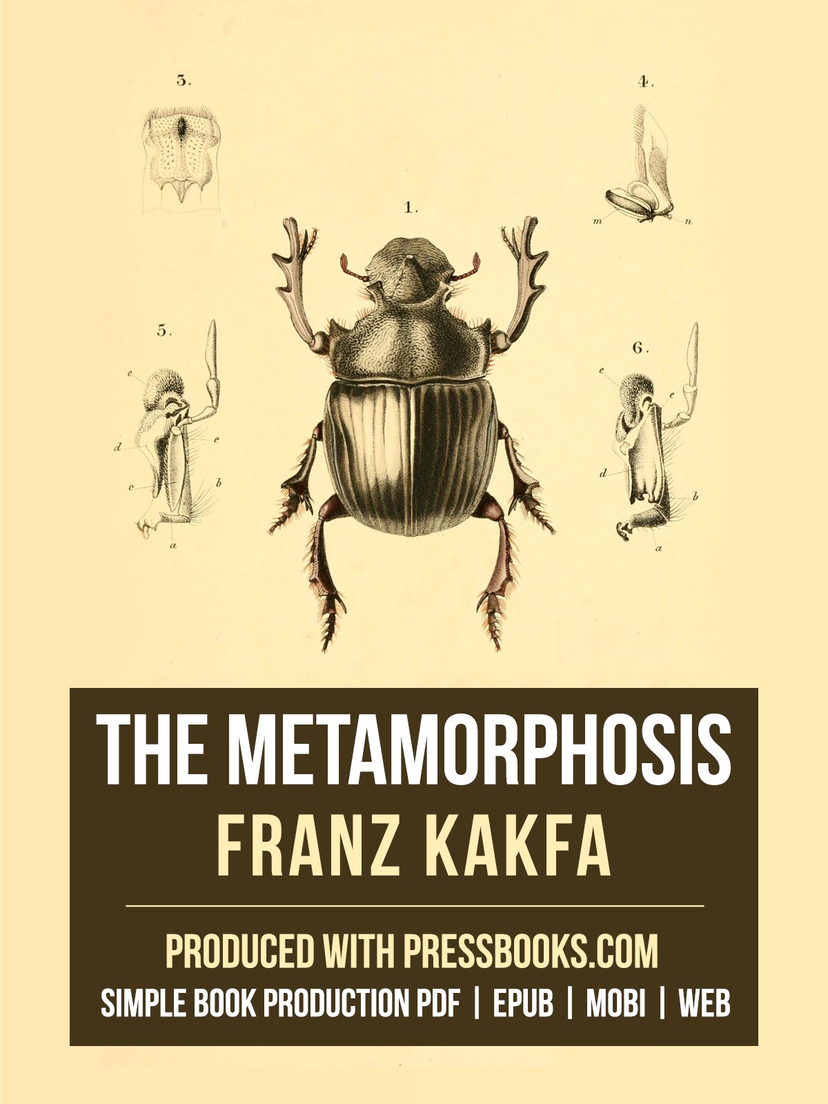 Metamorphosis  ebook cover
