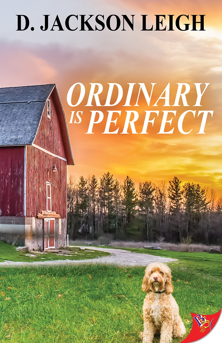Ordinary is Perfect ebook cover