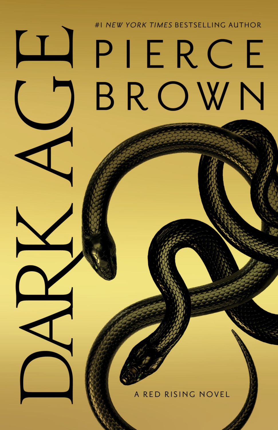 Dark Age ebook cover