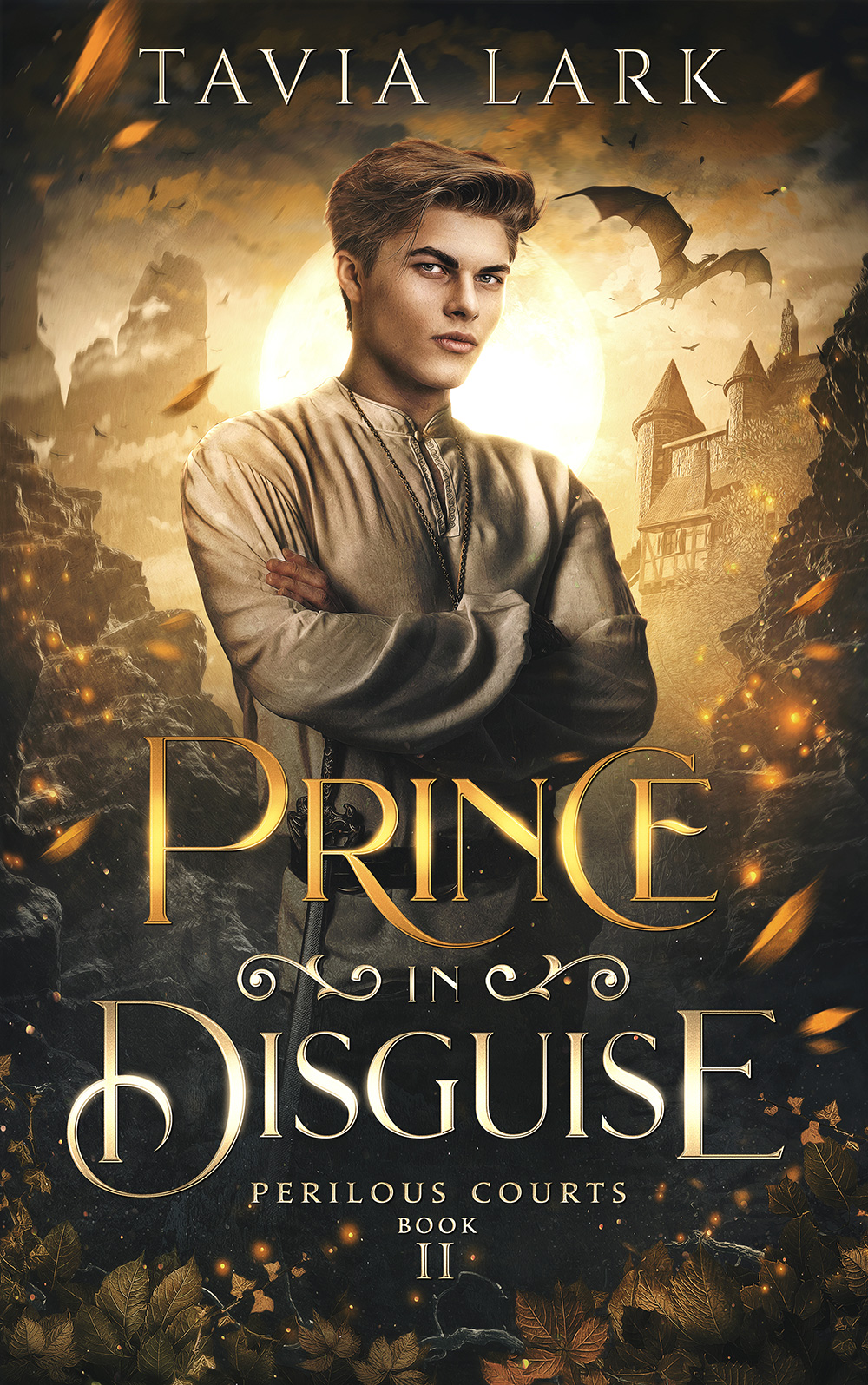 Prince in Disguise ebook cover