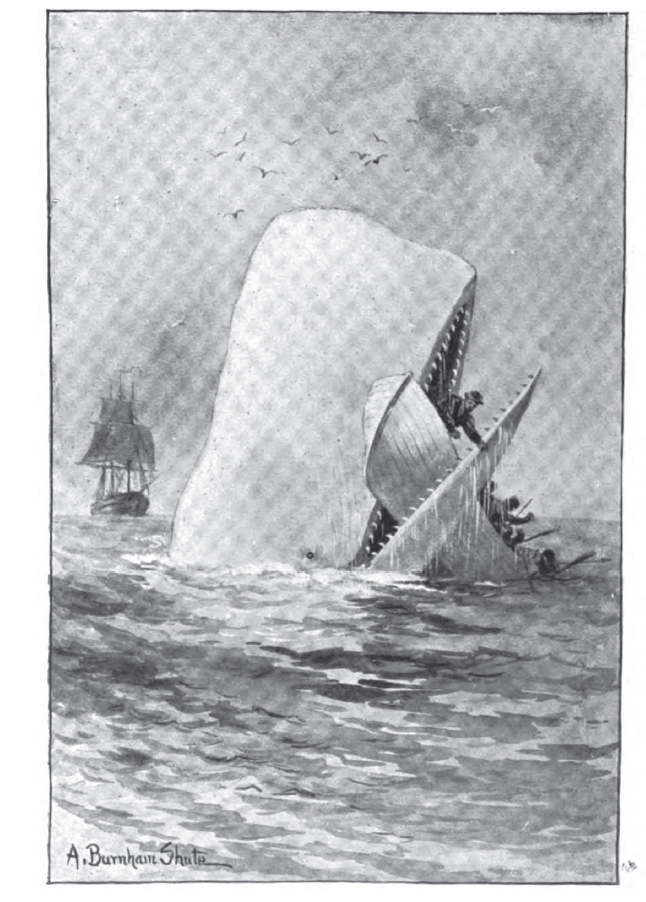 Moby-Dick ebook cover