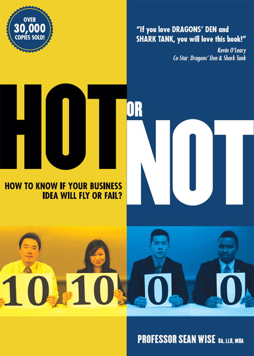 Hot or Not? How to Know if your Business Idea will Fly or Fail ebook cover
