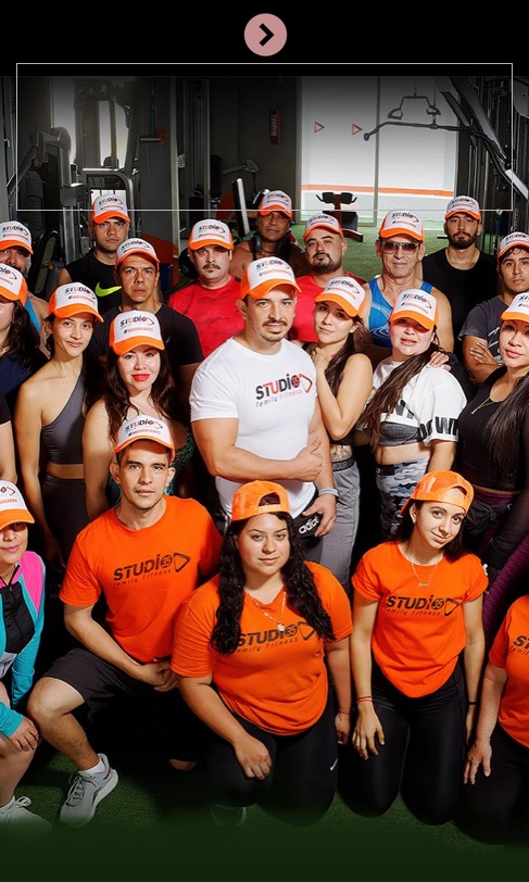 francisco duran's Project ebook cover