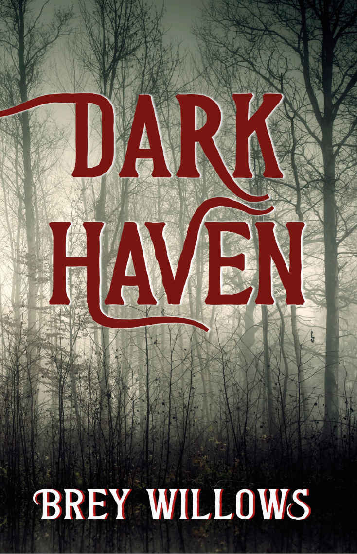 Dark Haven ebook cover