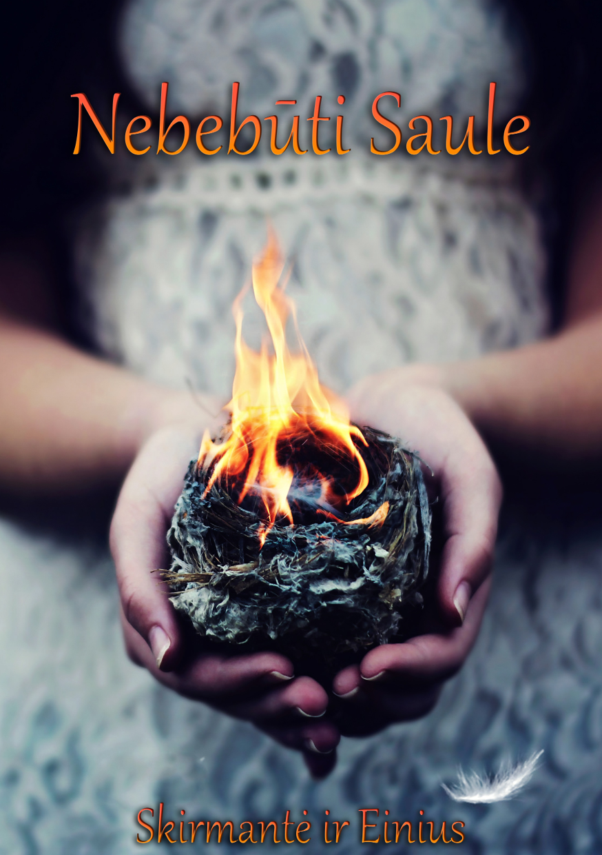 NEBEB&Aring;&ordf;TI SAULE ebook cover