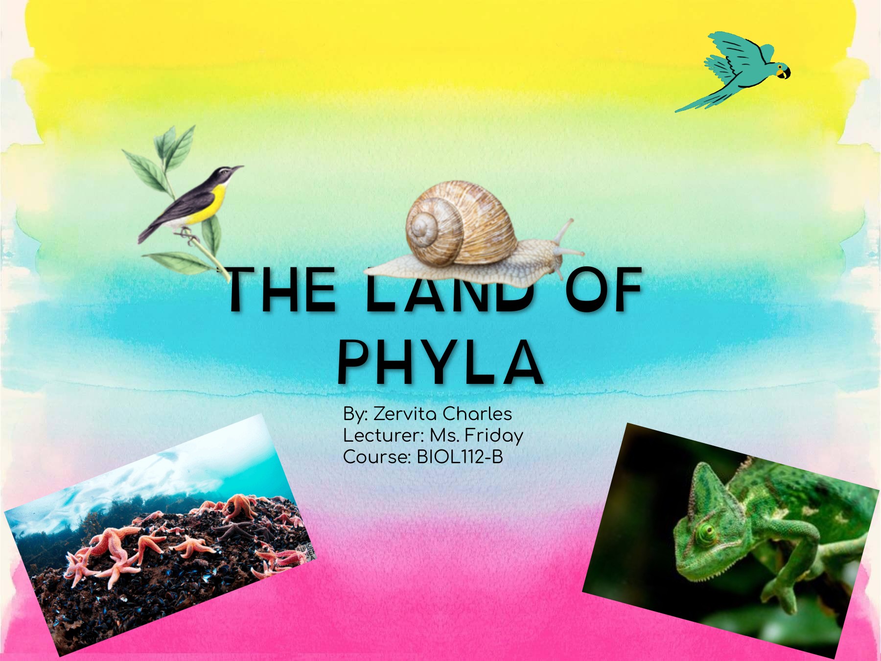The Land of Phyla_Zervita Charles ebook cover