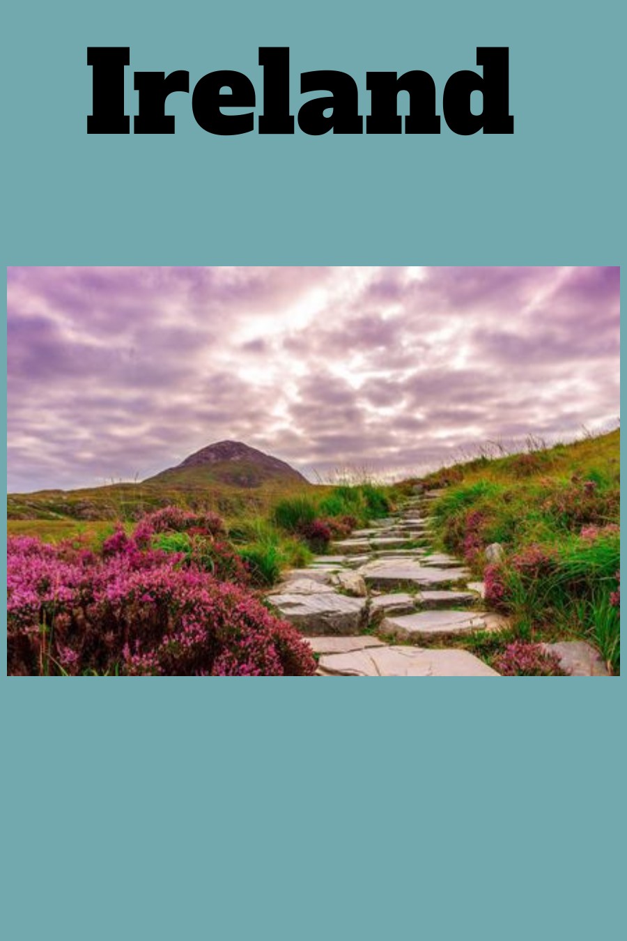 Ein neues Buch ebook cover