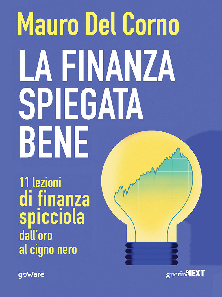 La finanza spiegata bene. 11 lezioni di finanza spicciola dall&acirc;&euro;&trade;oro al cigno nero (Italian Edition) ebook cover