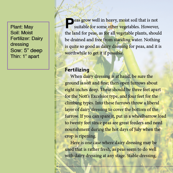 ClassDemo1_Jones ebook cover