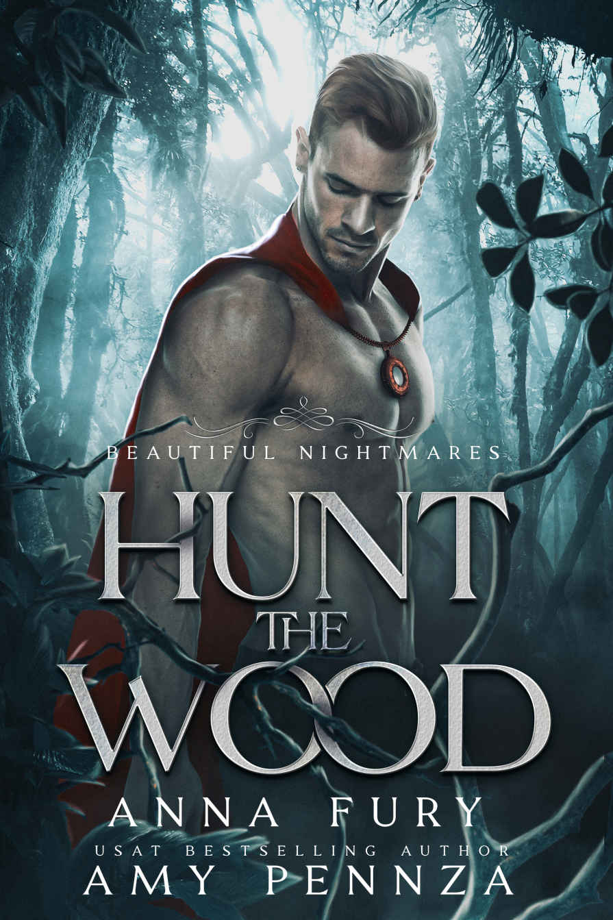 Hunt the Wood: An MM Red Riding Hood Retelling (Beautiful Nightmares Book 1) ebook cover