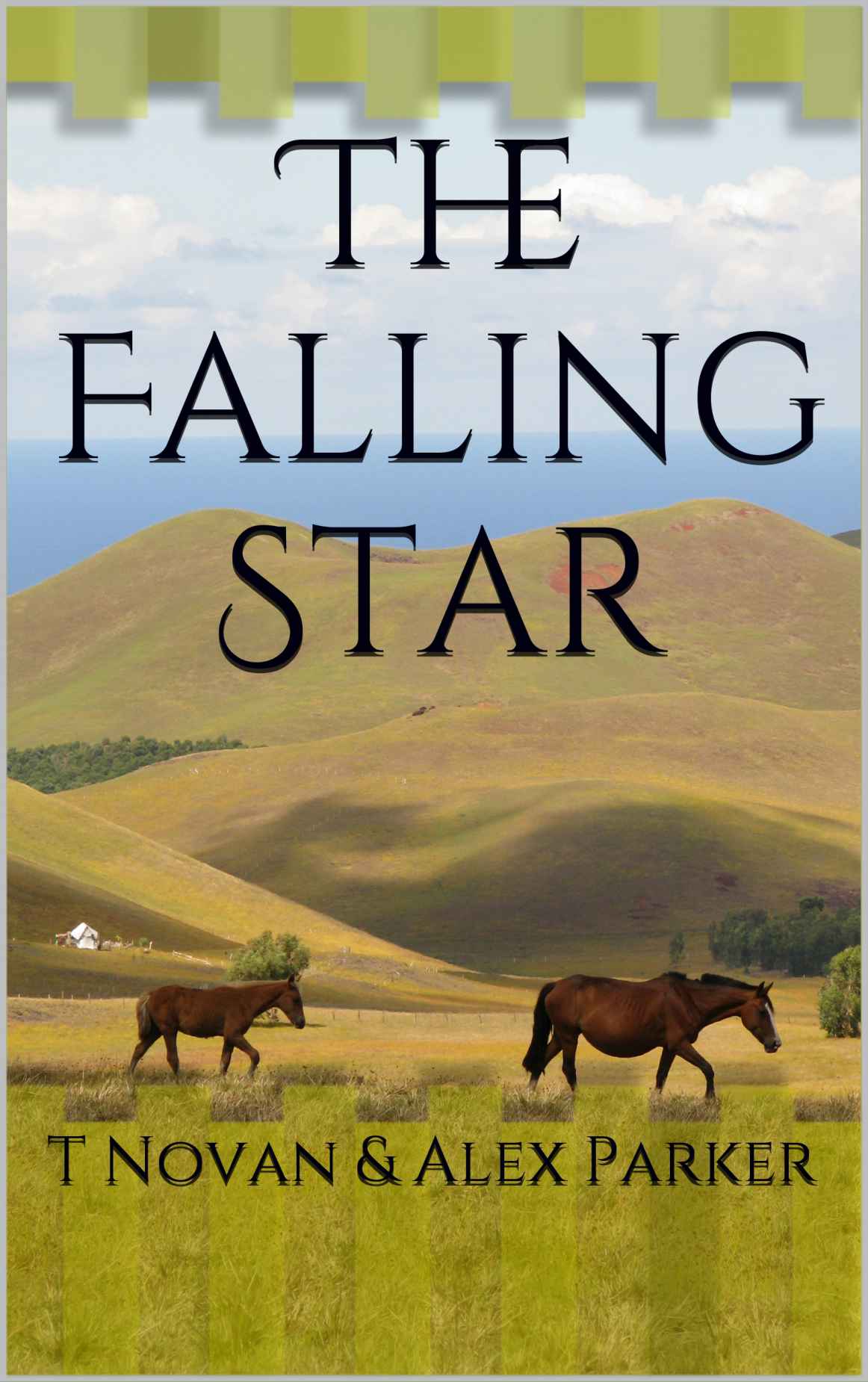 The Falling Star: Novella One ebook cover