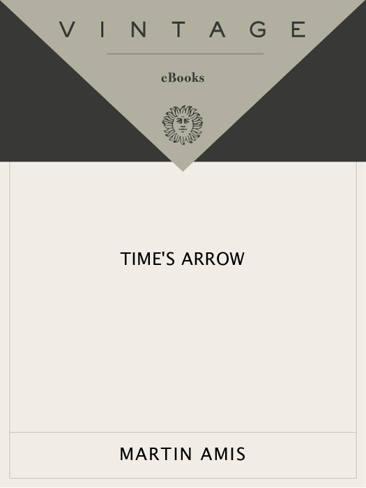 Time's Arrow ebook cover