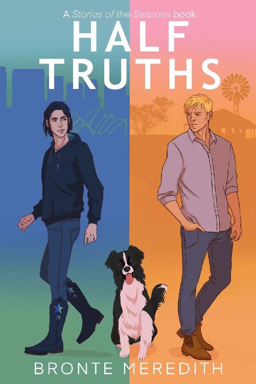 Half Truths ebook cover