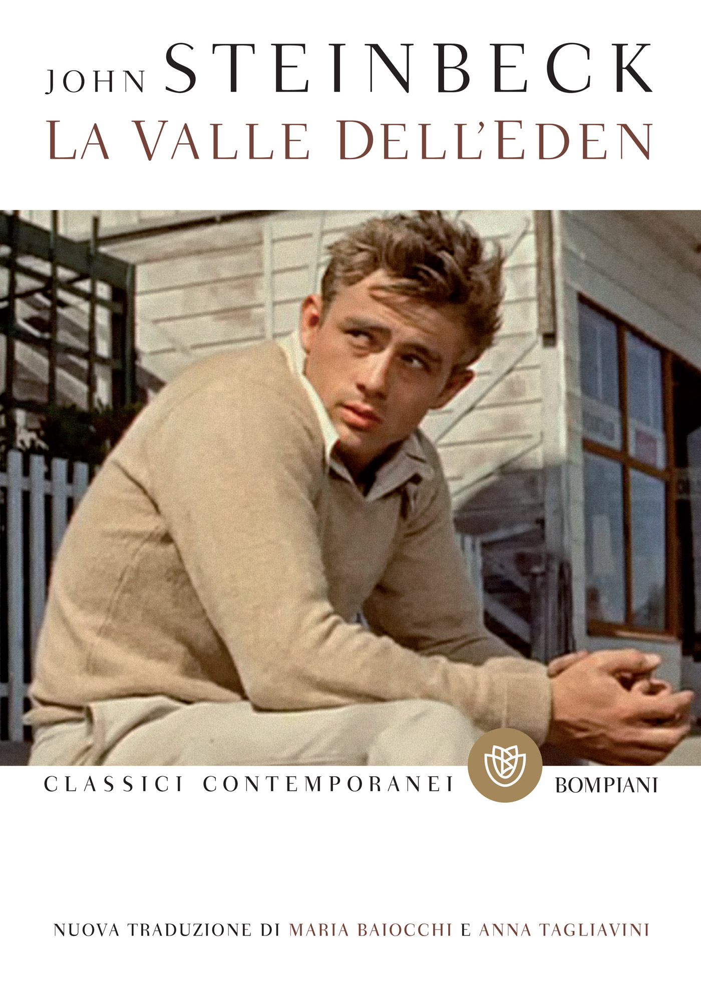 La Valle dell'Eden ebook cover