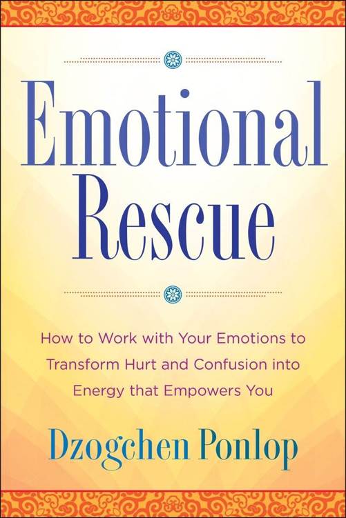 Emotional Rescue: How to Work with Your Emotions to Transform Hurt and Confusion into Energy That Empowers You ebook cover