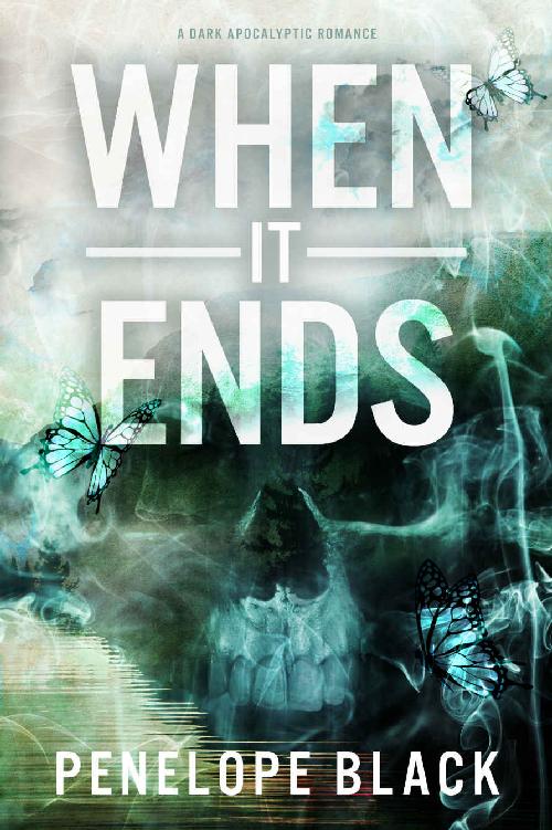 When it Ends: A Dark Apocalyptic Romance ebook cover
