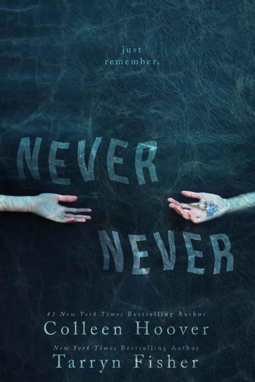 Never Never ebook cover