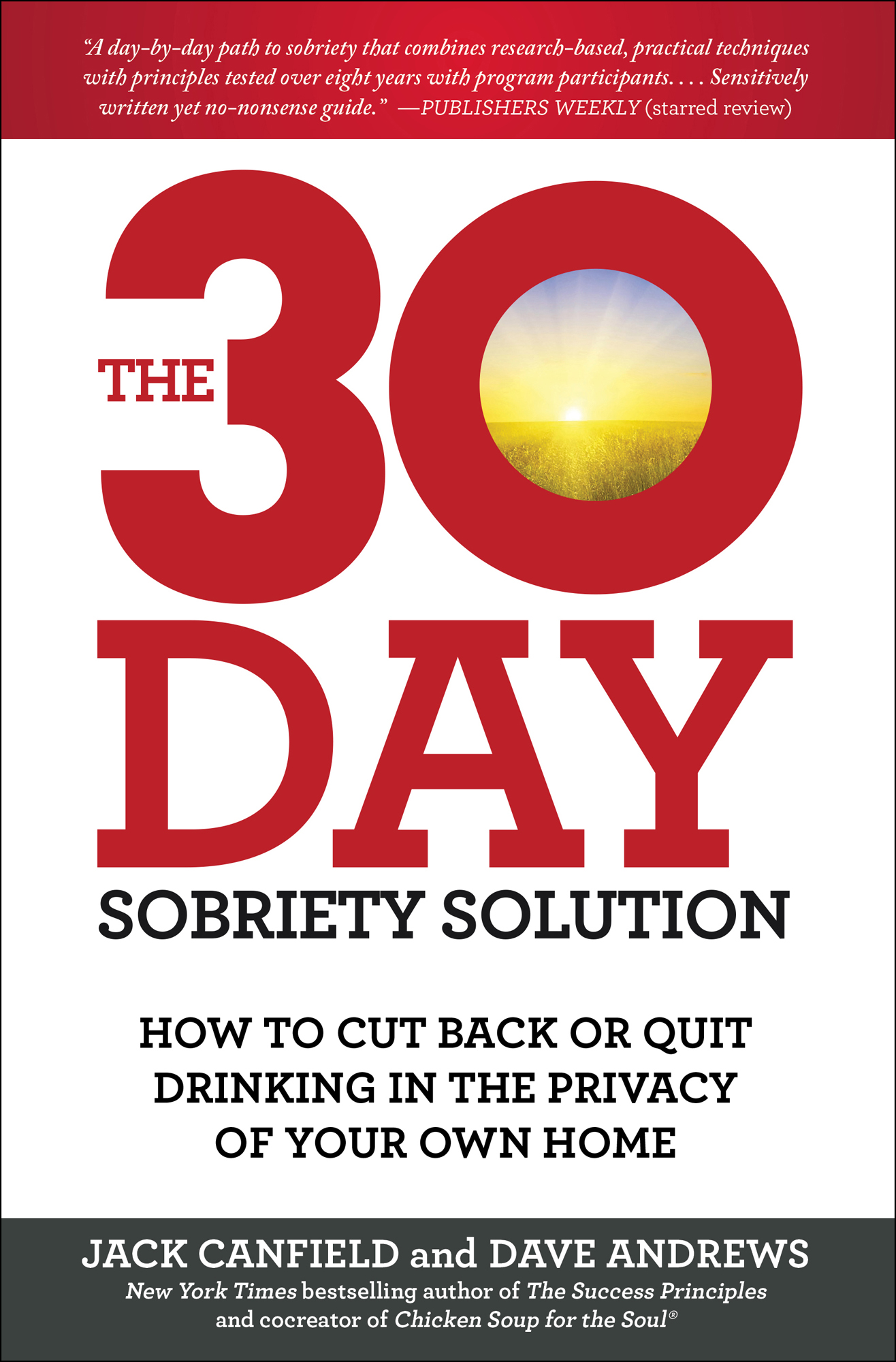 The 30-Day Sobriety Solution ebook cover