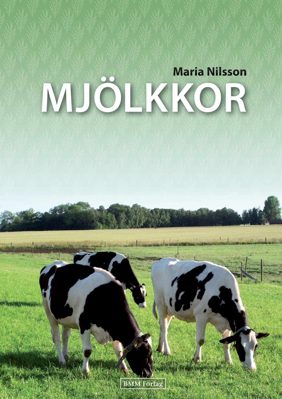 MJ&Atilde;&ndash;LKKOR ebook cover