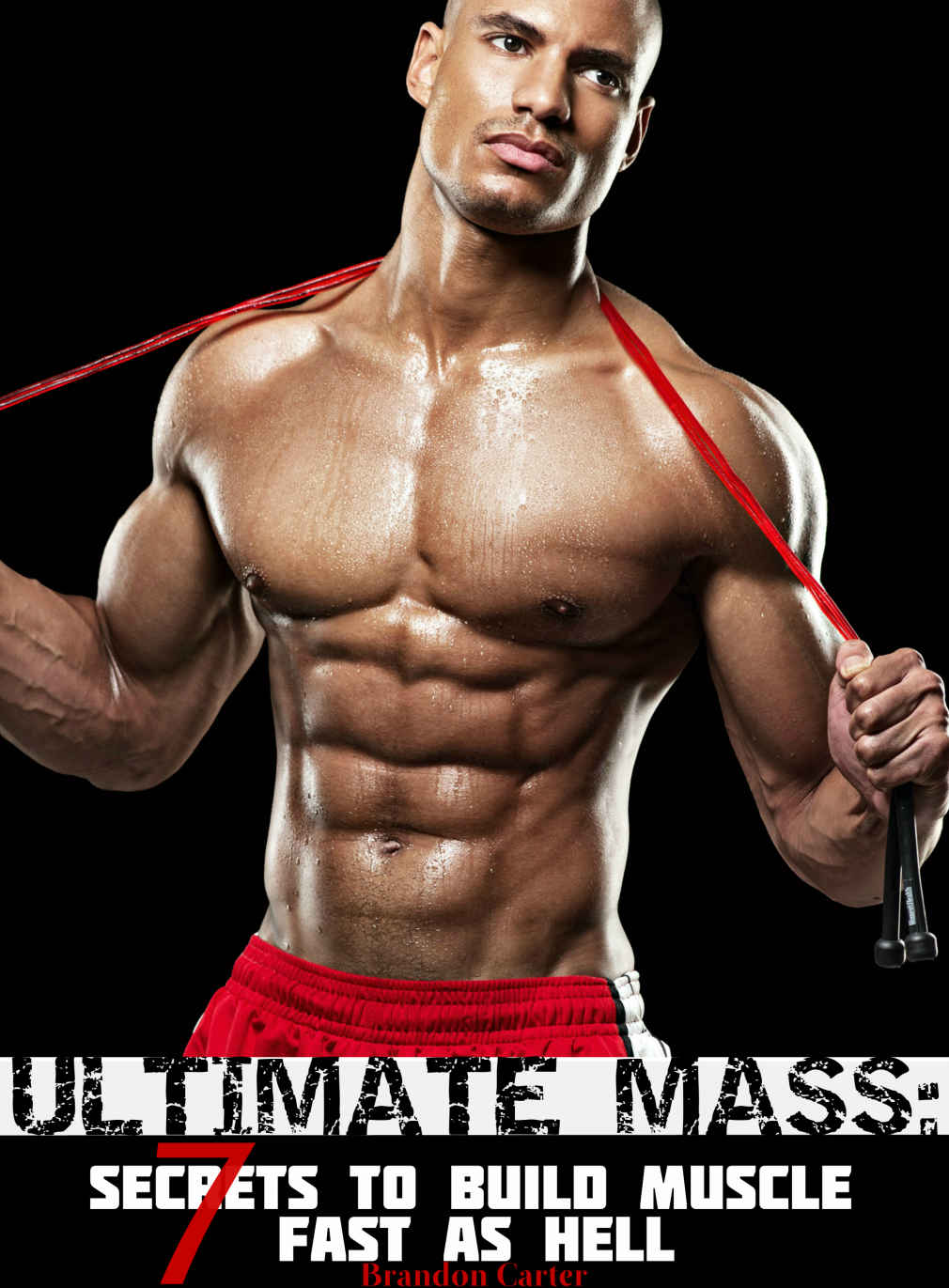 ULTIMATE MASS: 7 Secrets To Build Muscle Fast As Hell ebook cover