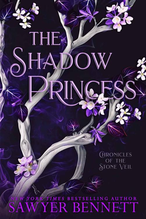 The Shadow Princess: A Stone Veil Novel (Chronicles of the Stone Veil Book 6) ebook cover