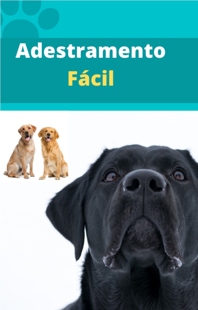 D:\wwwroot\cleverpdf-web\2094044\Adestramento-f&Atilde;&iexcl;cil-1002-vf.epub ebook cover