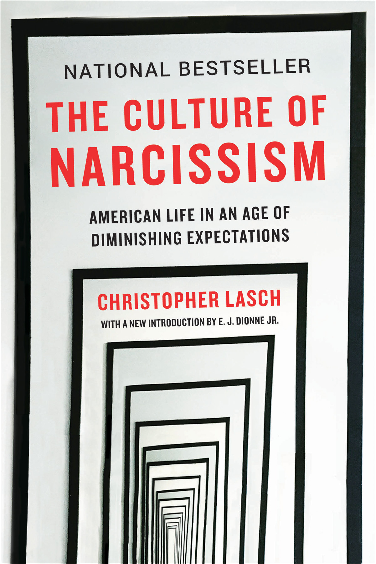 The Culture of Narcissism ebook cover