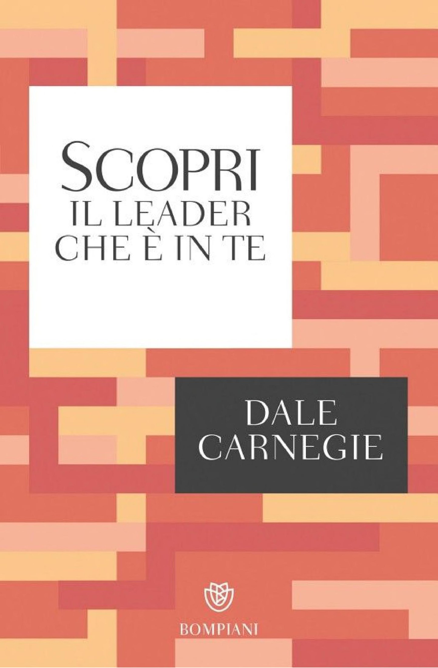 Scopri il leader che &Atilde;&uml; in te ebook cover