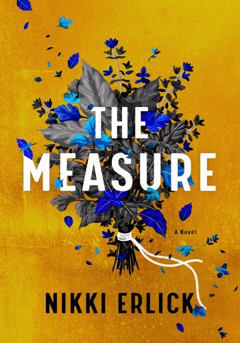 The Measure ebook cover