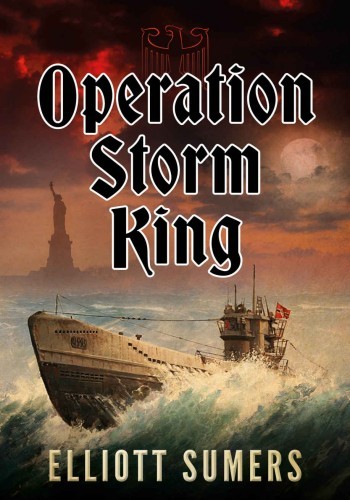 Operation Storm King ebook cover